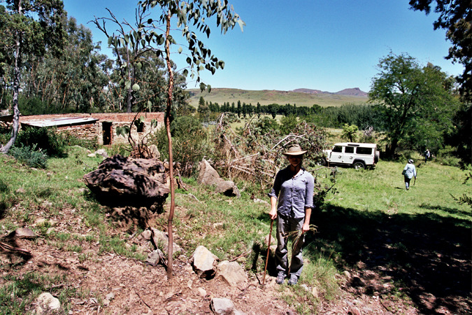 South African Grasslands