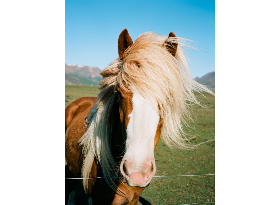 Iceland Film