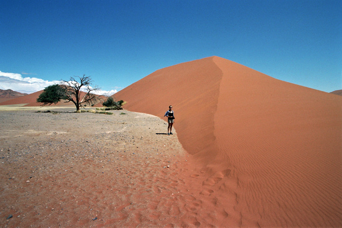 South African Grasslands