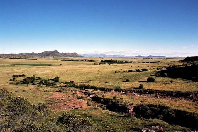 South African Grasslands