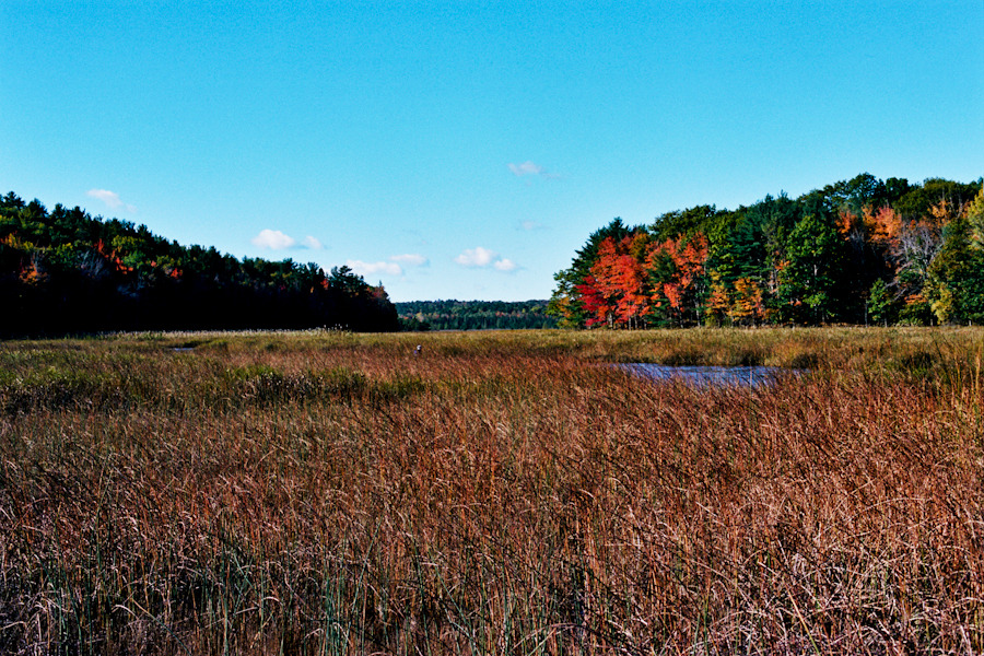 Acadia National Park, Bar Harbor, Maine