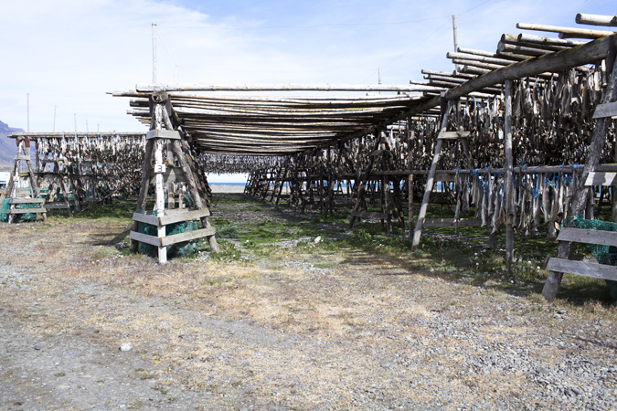 Sauðárkrókur
