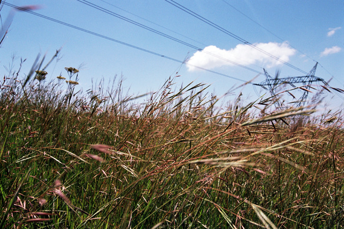 South African Grasslands