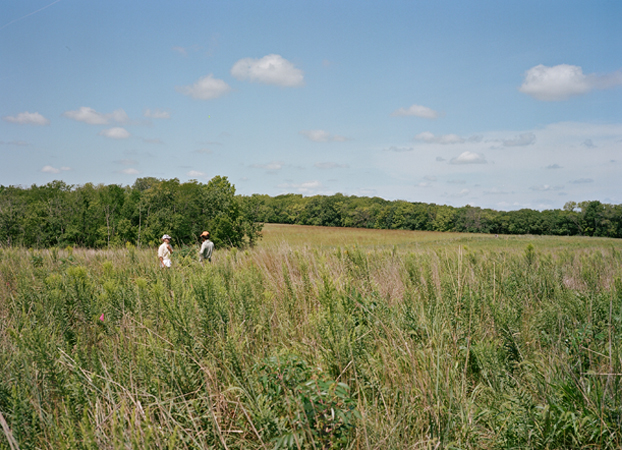 North American Grasslands