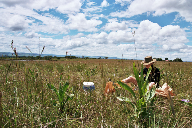 South African Grasslands