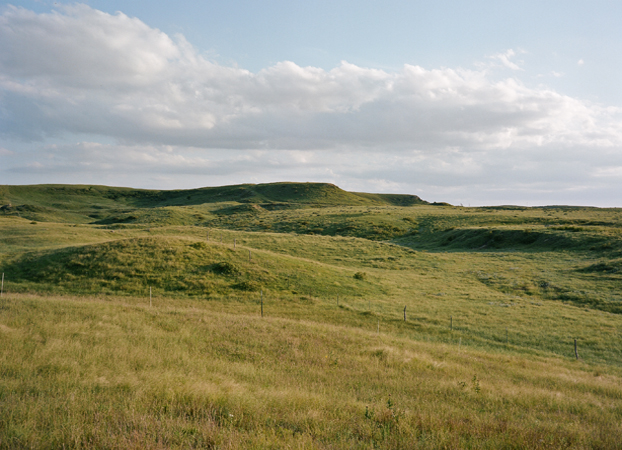 North American Grasslands