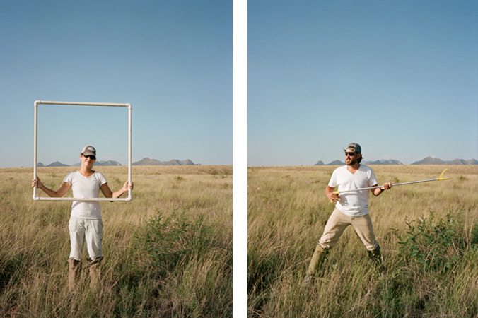 North American Grasslands