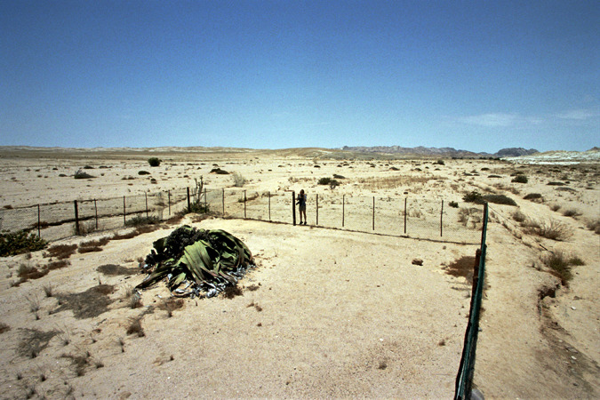 South African Grasslands