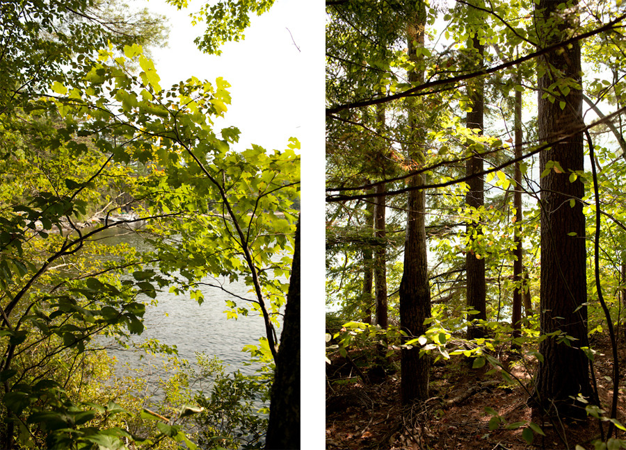 Wellington State Park, Bristol, New Hampshire