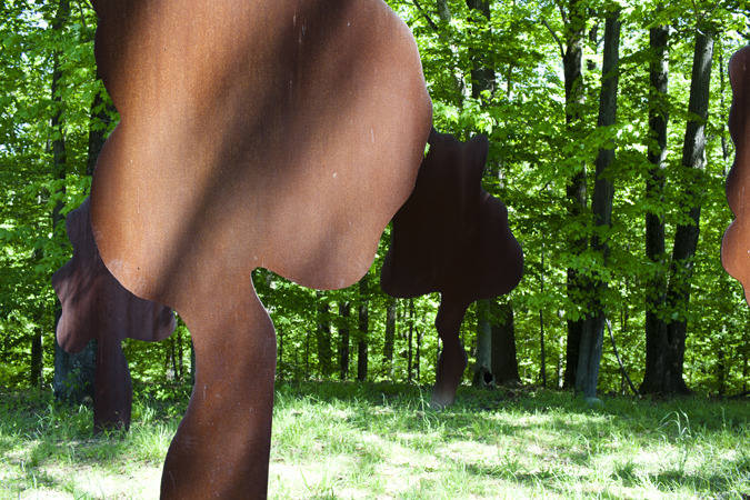 Storm King Sculpture Park (Mountainville, N.Y.)
