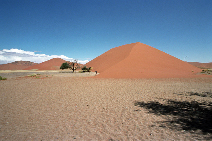 South African Grasslands