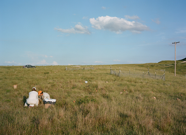 North American Grasslands