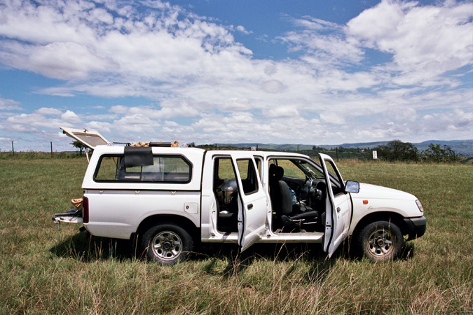 South African Grasslands