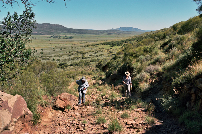 South African Grasslands