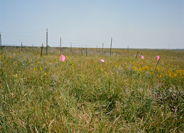 North American Grasslands