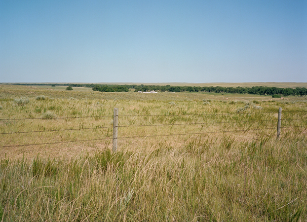 North American Grasslands