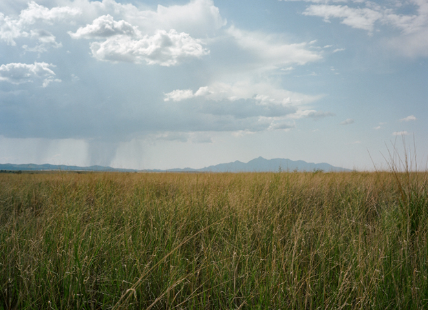 North American Grasslands