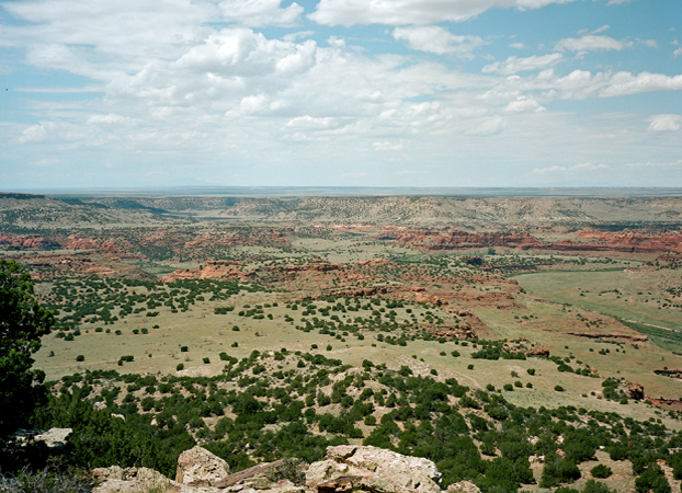 North American Grasslands