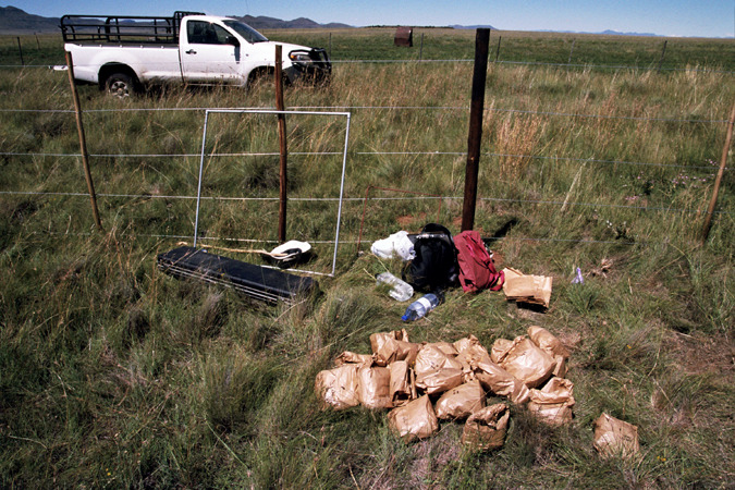 South African Grasslands