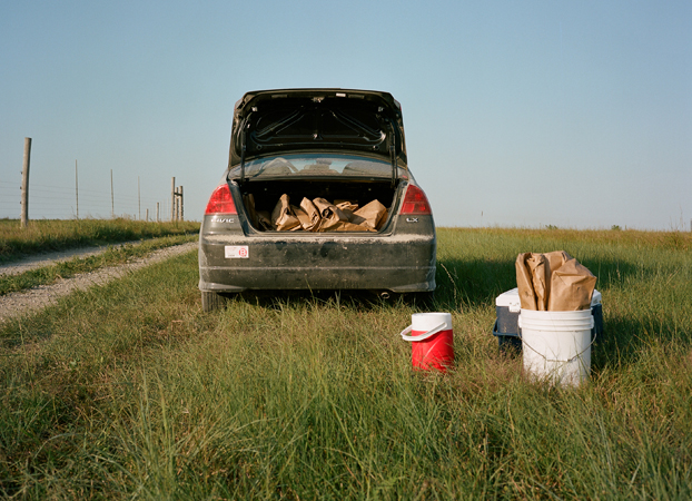 North American Grasslands