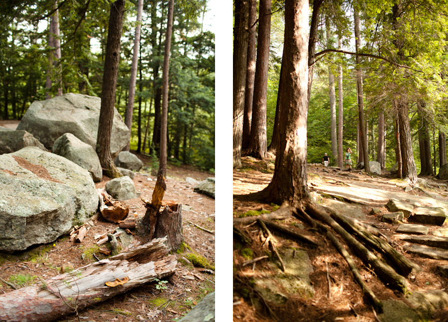 Wellington State Park, Bristol, New Hampshire