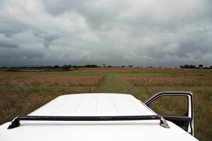South African Grasslands