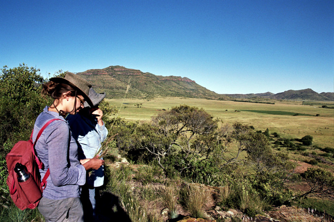 South African Grasslands