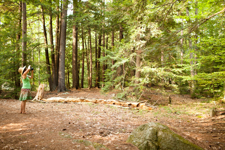 Wellington State Park, Bristol, New Hampshire
