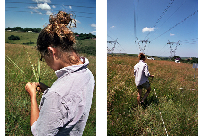 South African Grasslands