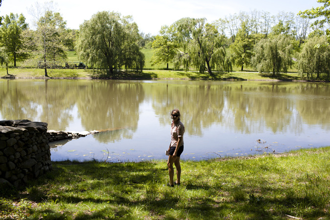 Storm King Sculpture Park (Mountainville, N.Y.)