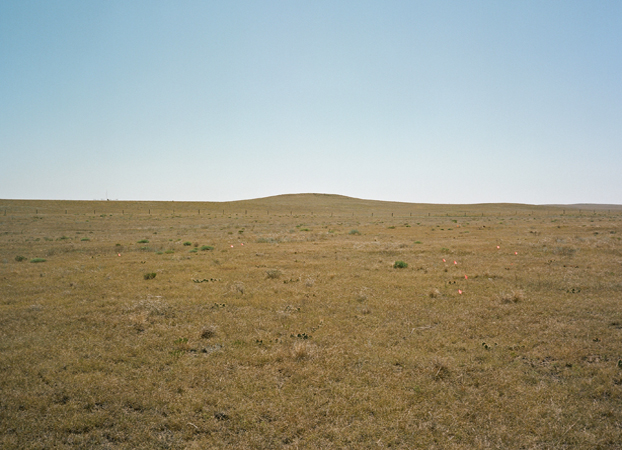 North American Grasslands