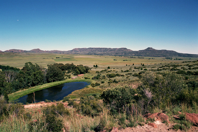 South African Grasslands