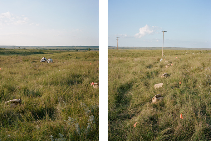 North American Grasslands
