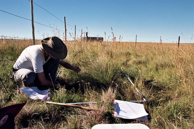 South African Grasslands