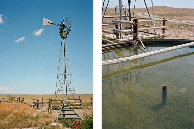North American Grasslands