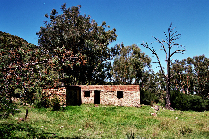South African Grasslands