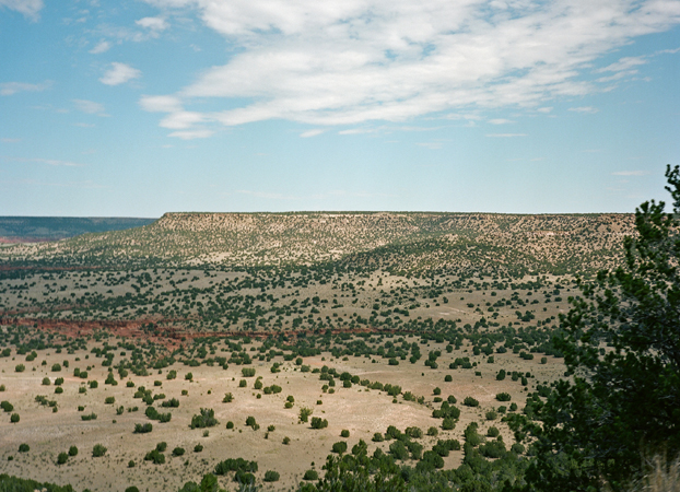 North American Grasslands