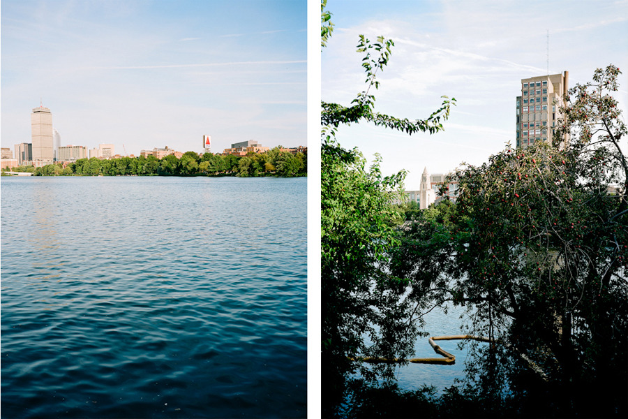 The Charles River, Cambridge