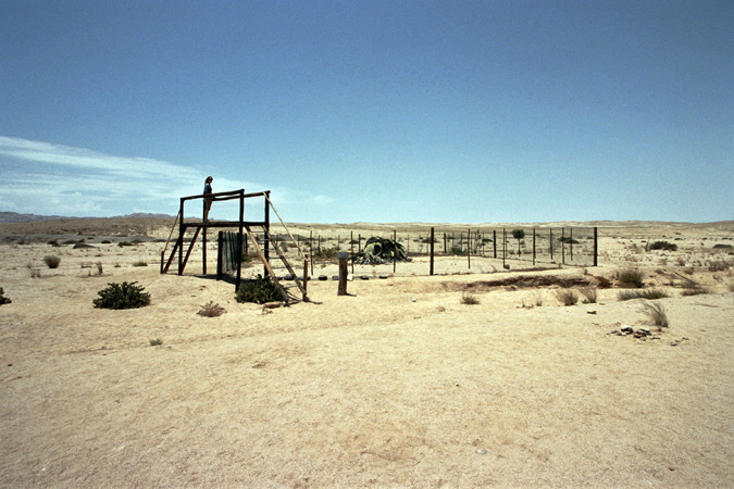 South African Grasslands