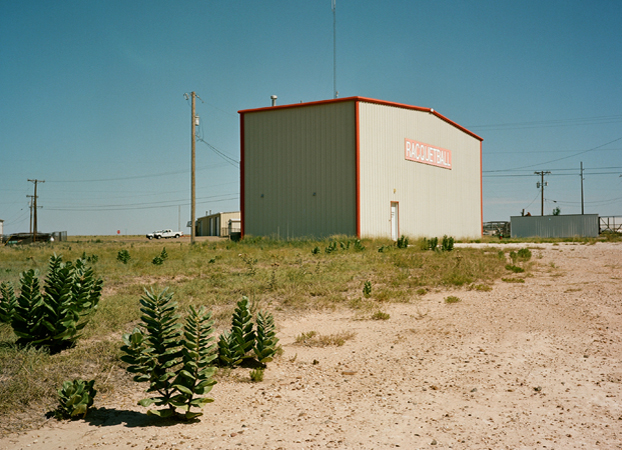 North American Grasslands