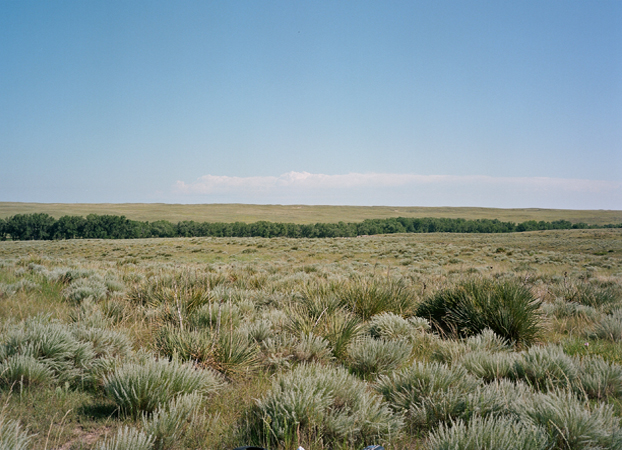 North American Grasslands