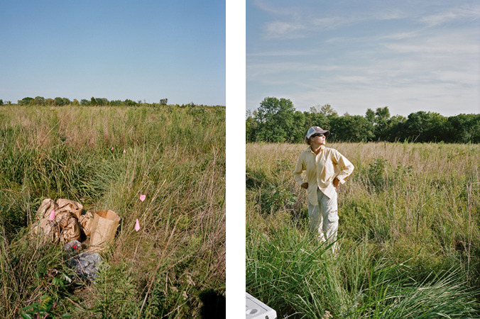 North American Grasslands