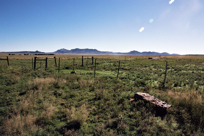 South African Grasslands