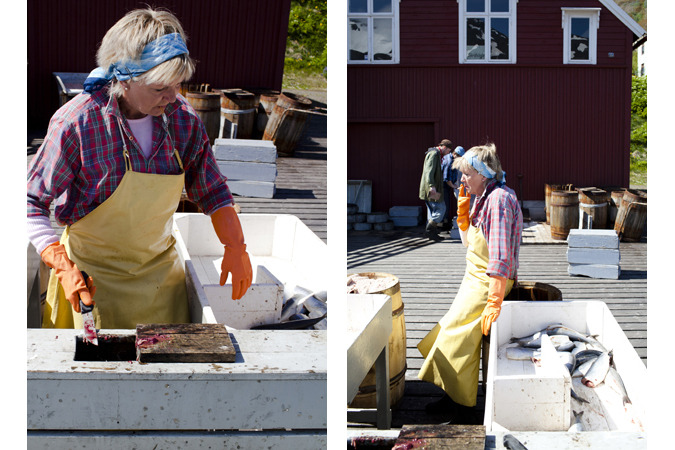 Siglufjörður & Aukreyri