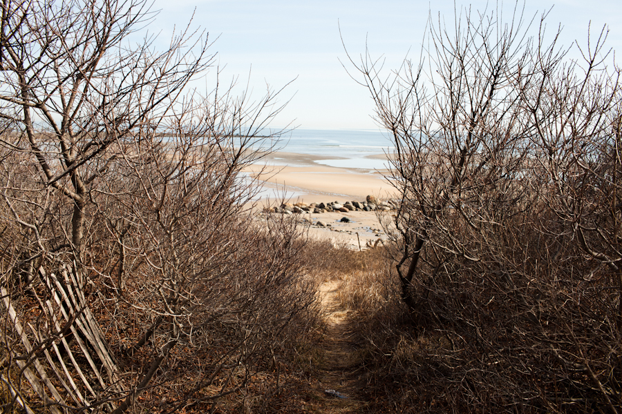 Plum Island, MA.