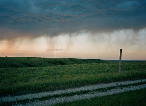 North American Grasslands