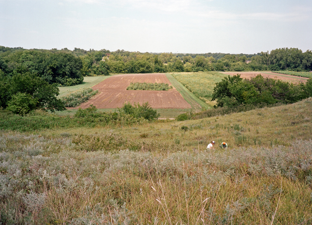 North American Grasslands