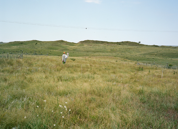 North American Grasslands