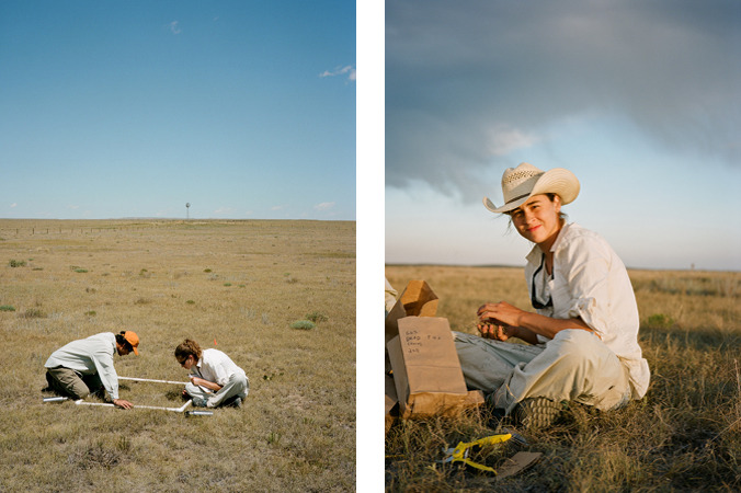 North American Grasslands