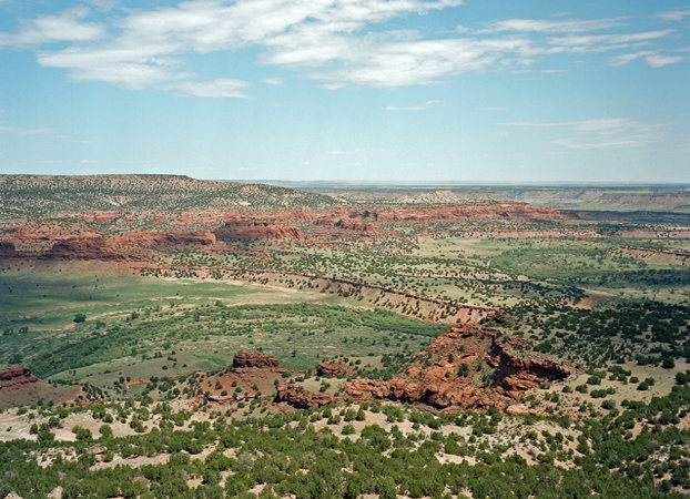 North American Grasslands